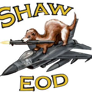 Team Page: 20th EOD
